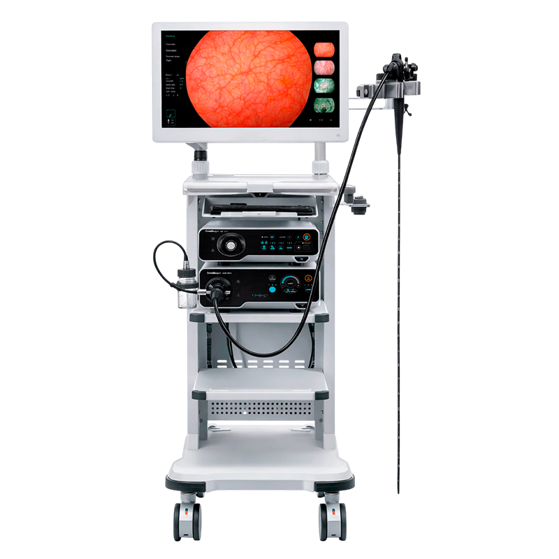 Sistema de video endoscopia HD-550