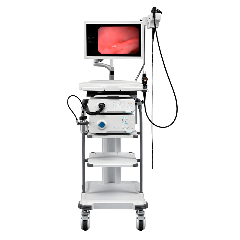 Sistema de videoendoscopia HD-350