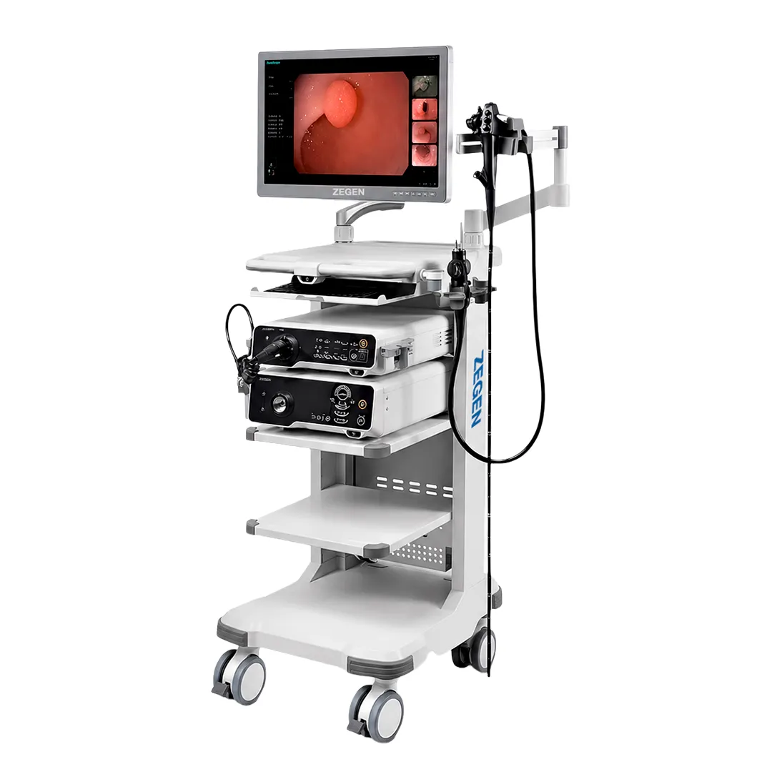 Sistema de endoscopía inteligente ZGN-HD500E