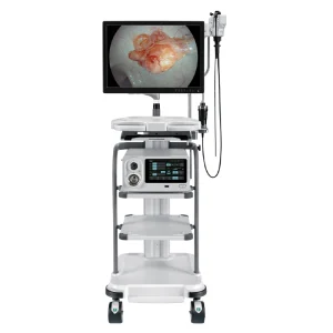 zgn-lhe600 endoscopio híbrido